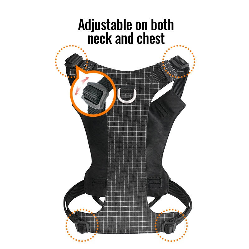 HALO™ Smart Safety Harness