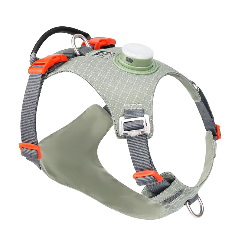 HALO™ Smart Safety Harness