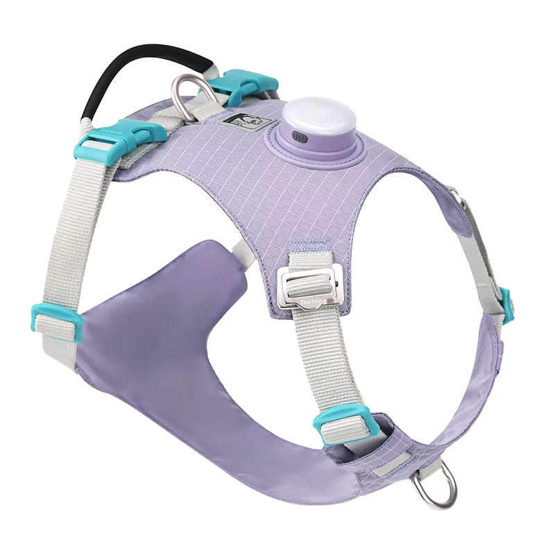 HALO™ Smart Safety Harness