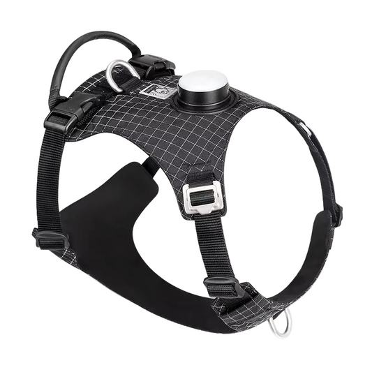 HALO™ Smart Safety Harness